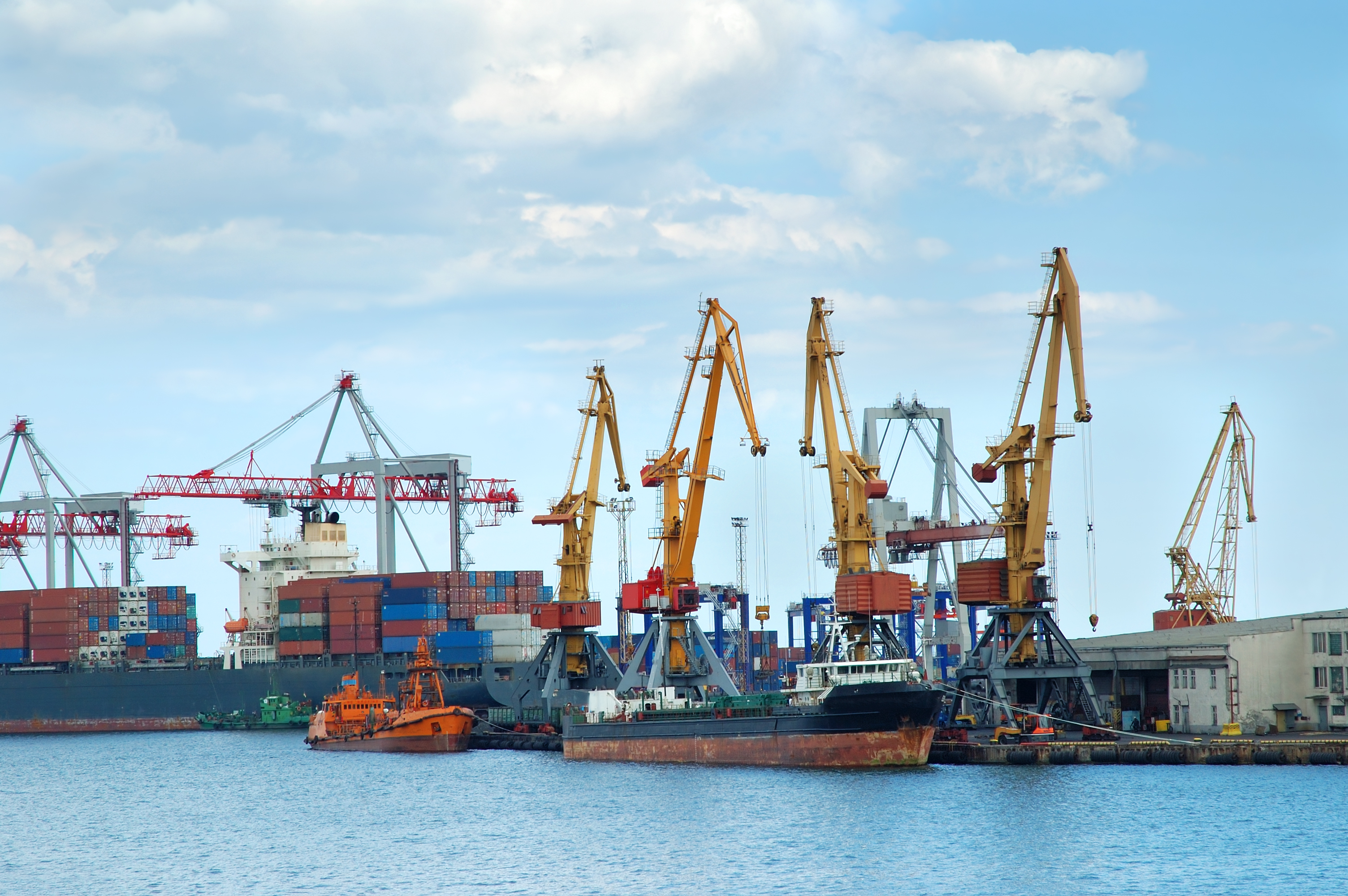 Import & Export